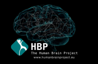 Human Brain Project