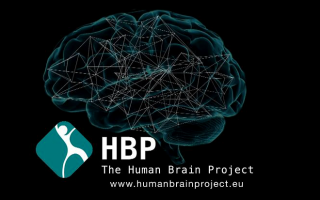 Human Brain Project