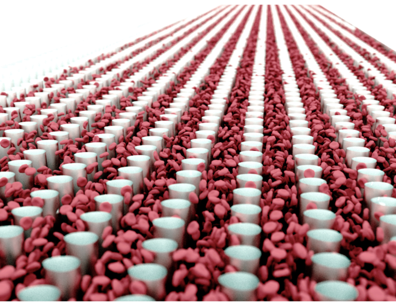 The in-silico Lab-on-a-chip: visualization of simulations of red blood cells flowing in a micro fluidic device (Credit: CSElab/Diego Rossinelli)