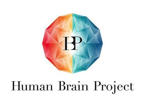 Slidecast: Capire il cervello attraverso la simulazione, by Richard Walker, Human Brain Project