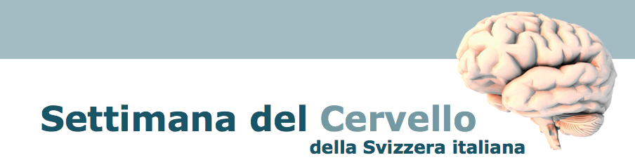 Public conference at CSCS: Capire il cervello attraverso la simulazione